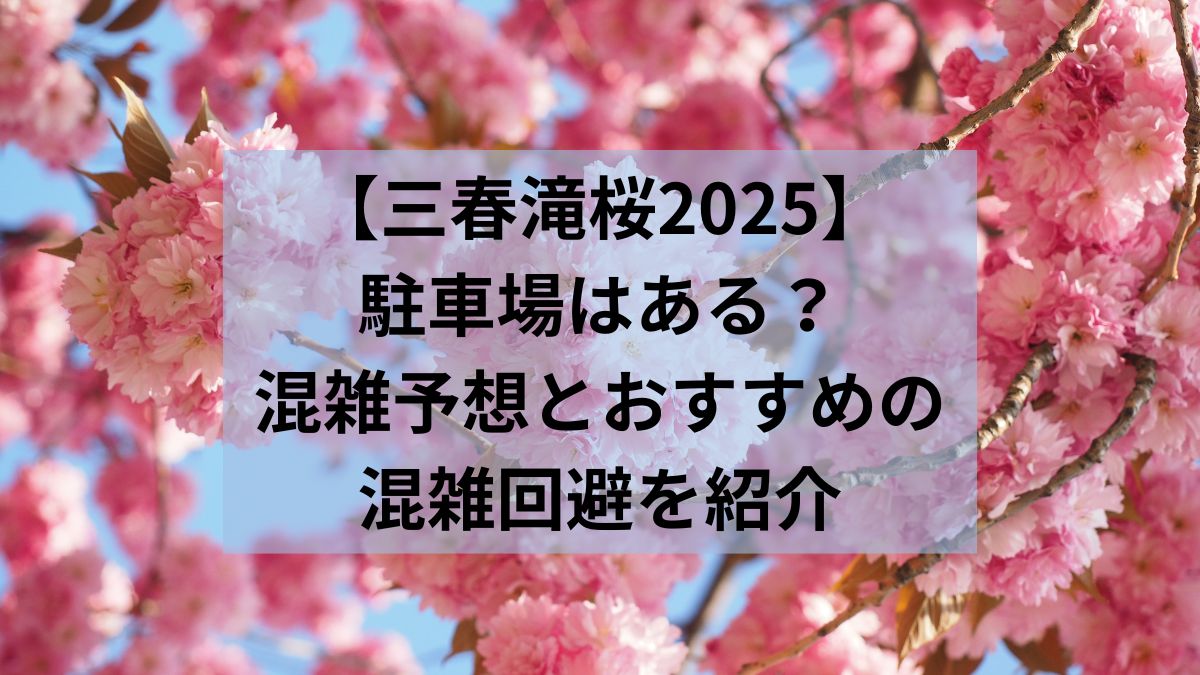 三春滝桜　2025